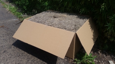 Kalfaterfaser, lose Fasern, 10 kg Karton 