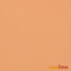 Conlino Lehmglätte arancio 5 kg, RW ca. 25 m² 