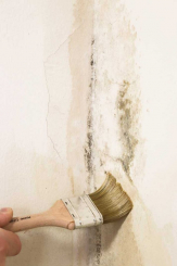 Kreidezeit  Schimmelknacker 250 ml, RW ca. 5 m² 